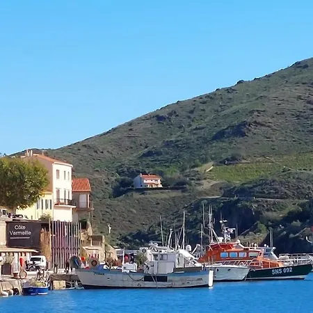 T2 Spacieux A 200m Du Port * Port Vendres